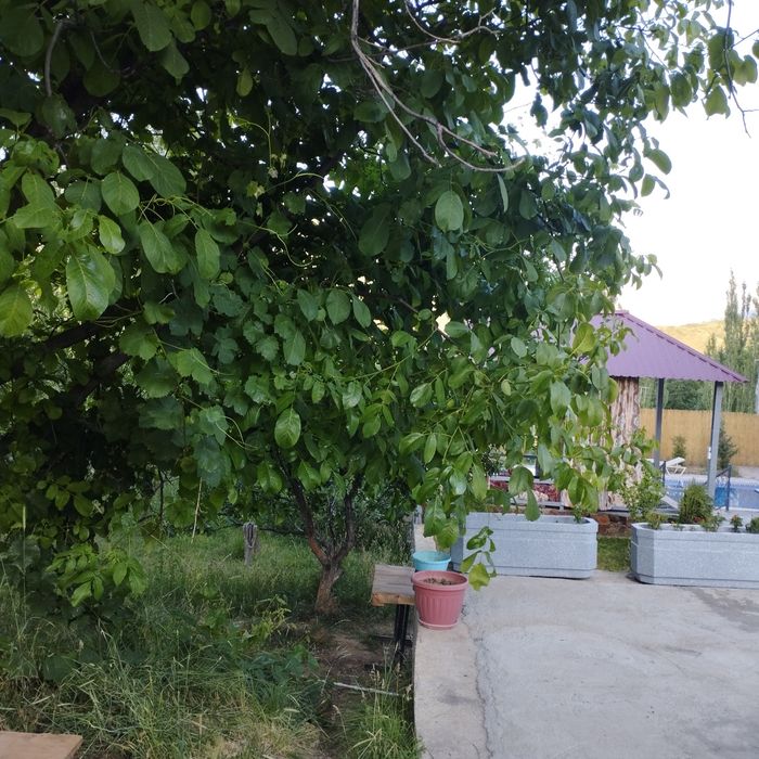 Продаю дачу в горах!