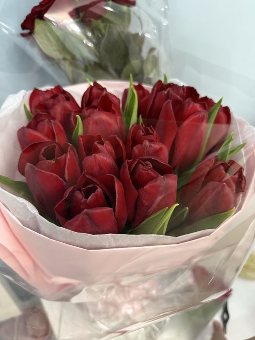 Тюльпаны красные