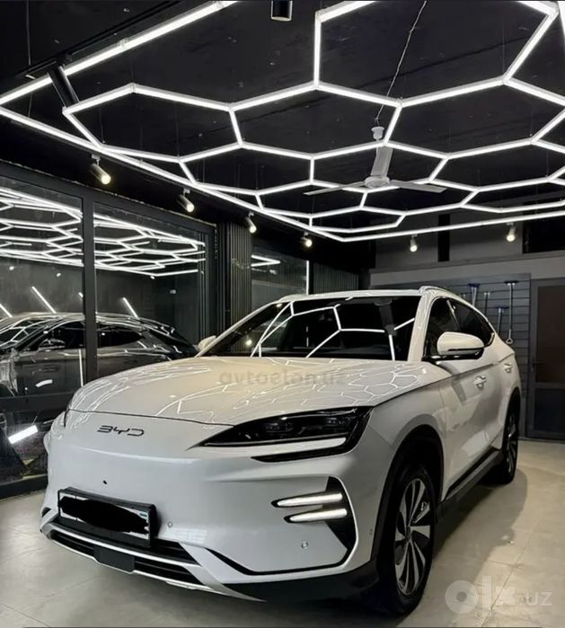 Bvd 2025 yil afisali