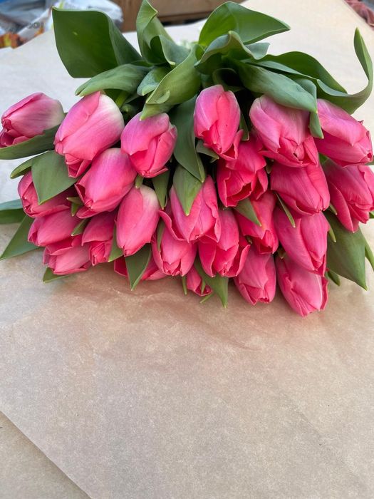 Продажа тюльпана