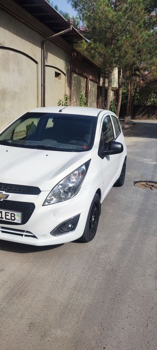 Spark 2019 kraska toza