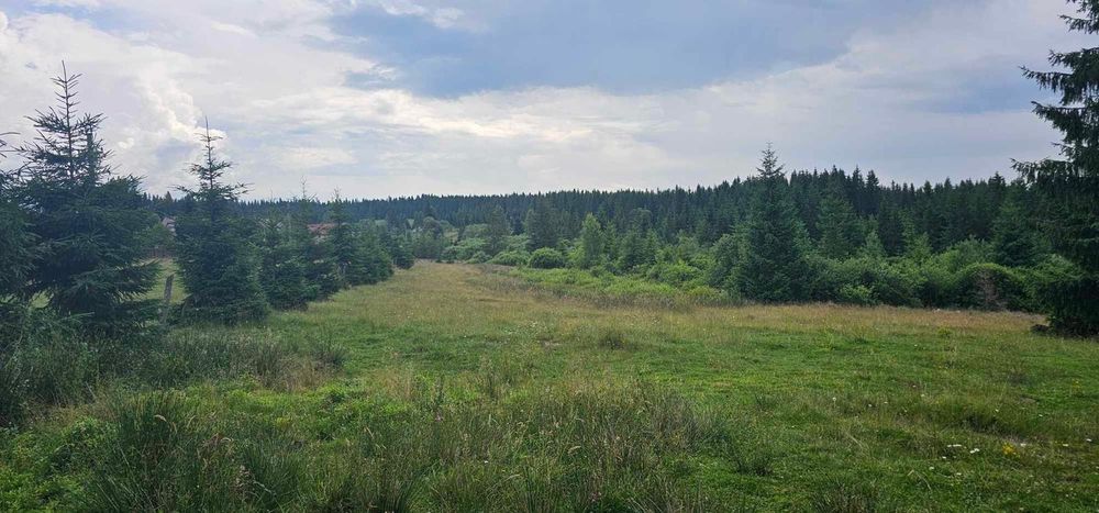 Vand teren belis