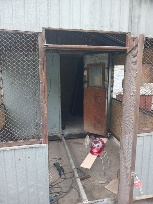 Продам голубят. Голубятник