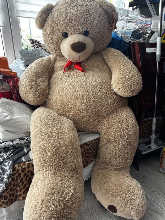 Ursulet de plus gigant