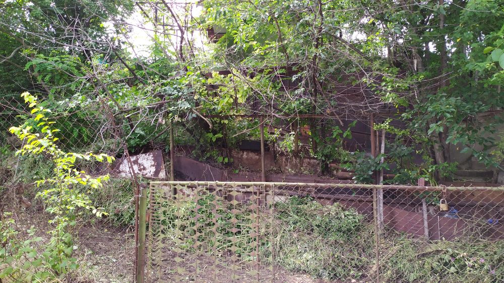 Продавам лозе 664кв.м. в гр.Силистра, местност Орта Борун , ул.Трета