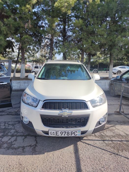 Captiva 2011 kraska top tozza