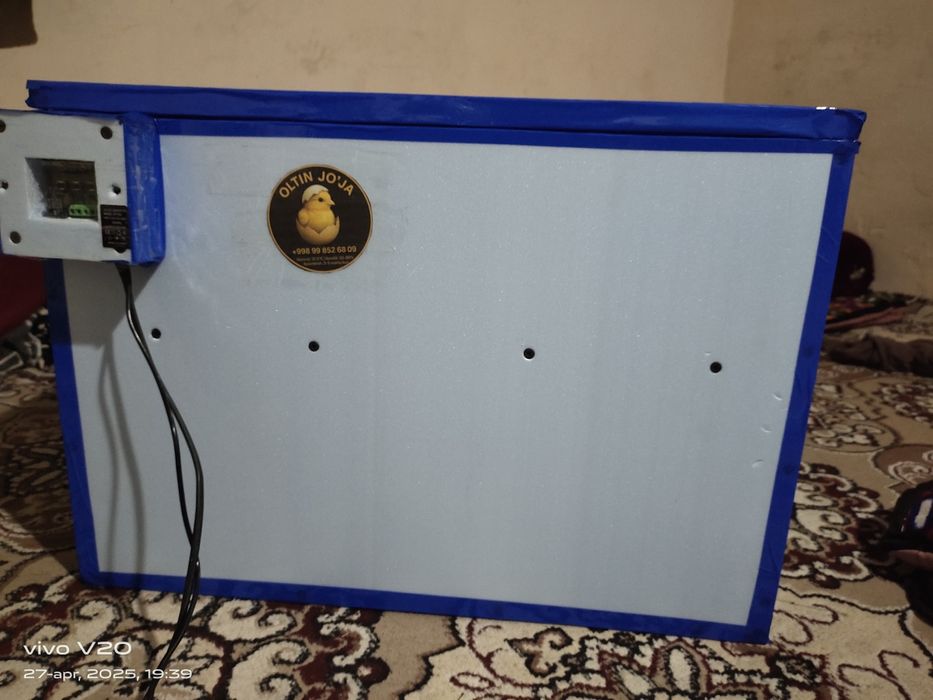 Inkubator zakazga yasab beramiz