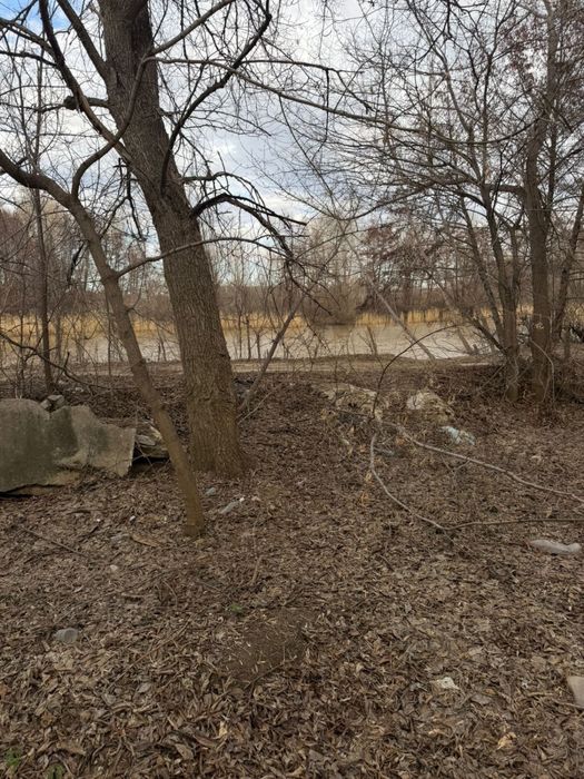 Сдам дачу на кривом озере