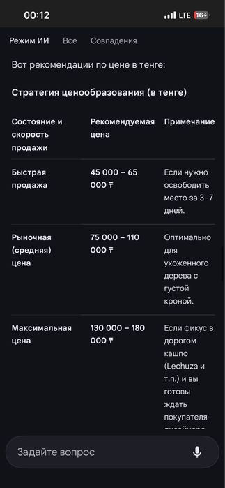 Растение Фикус бенджамина