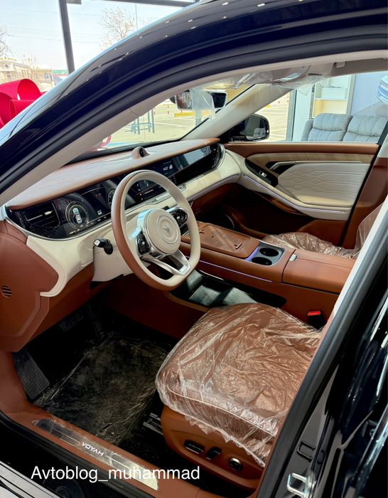 Voyah free Apollo tech 210