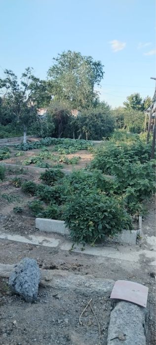 Продам дачу на баме г. Сатпаев