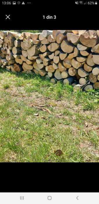 Vand lemn de Foc Fag esenta tare