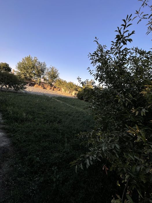 Kadastr hujjatlariga ega 10 sotix