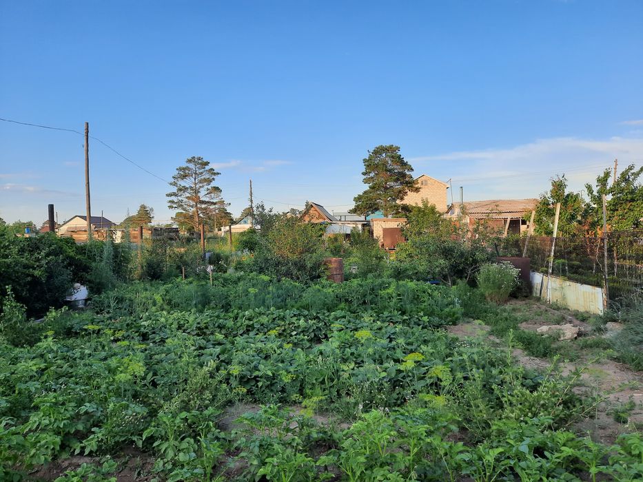 Продам дачу 8 соток