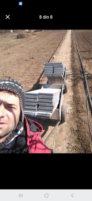 Tractoras de tuns gazonul si de carat