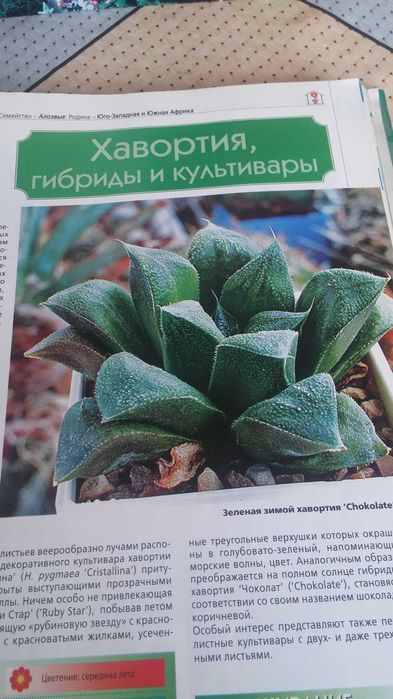 Продам книгу Комнатные растения.