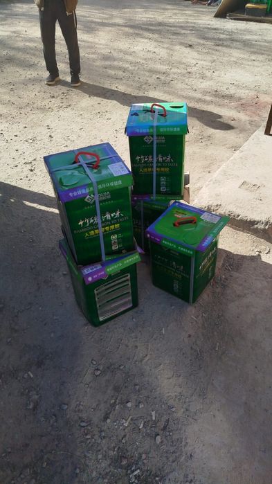 Ландшафтный дизайн, газон, ели