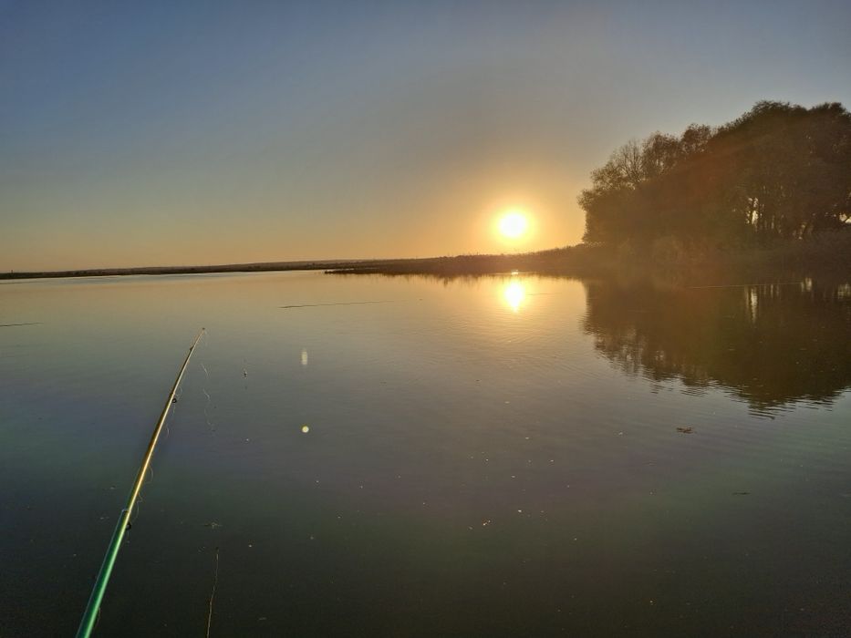 Продам дачу ск локомотивное 10