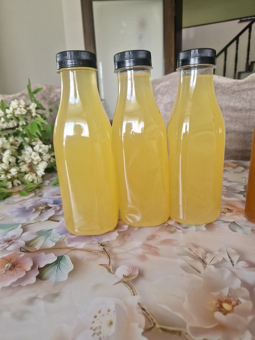 Sirop natural concentrat din muguri de brad presat la rece si sirop din flori de soc cu lamaie si menta