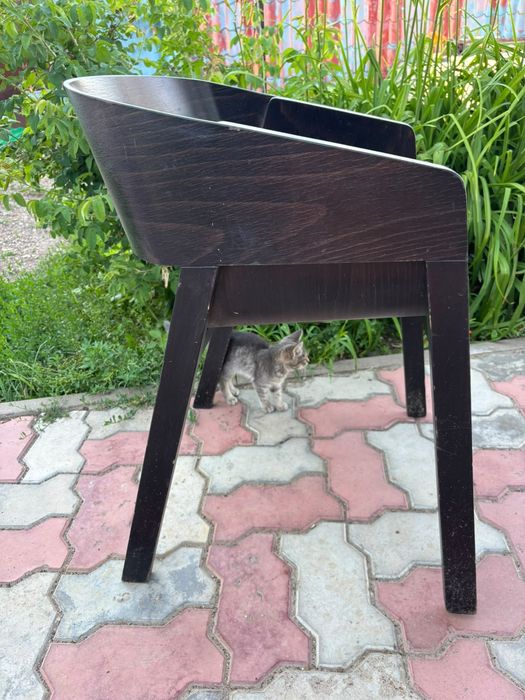 Продам стулья из дерева