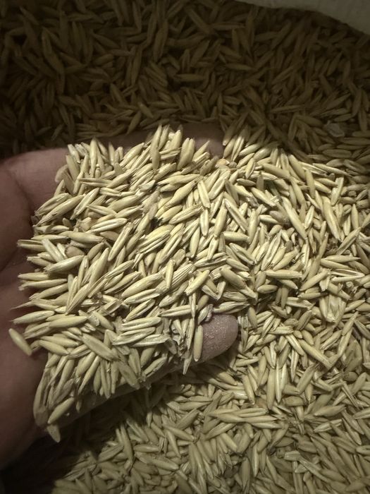 Huruiala pentru animale