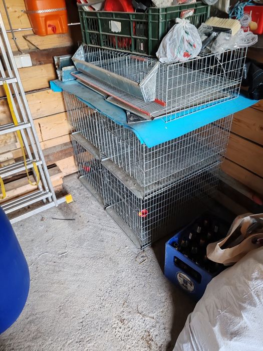 Cușcă pui,prepelițe