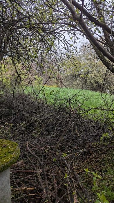 Продава се Къща в Павликени - 80 кв.м за 64 €/кв.м - Снимка #5