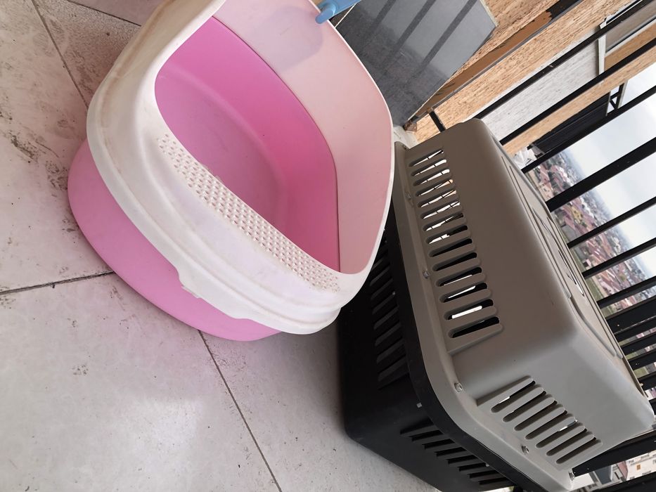 Переноска и лоток вместе 600 000 для кошек и собак