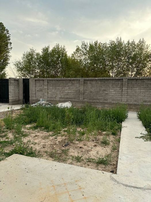 Продаётся дача в доль речки  (каробка )
Ташкентская область 
Янгибазар