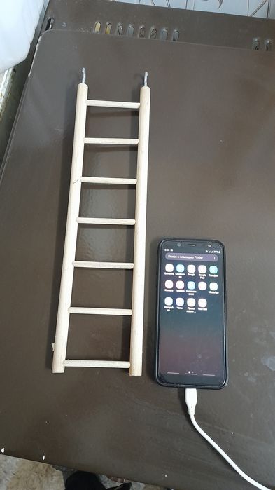 Лестница для попугая