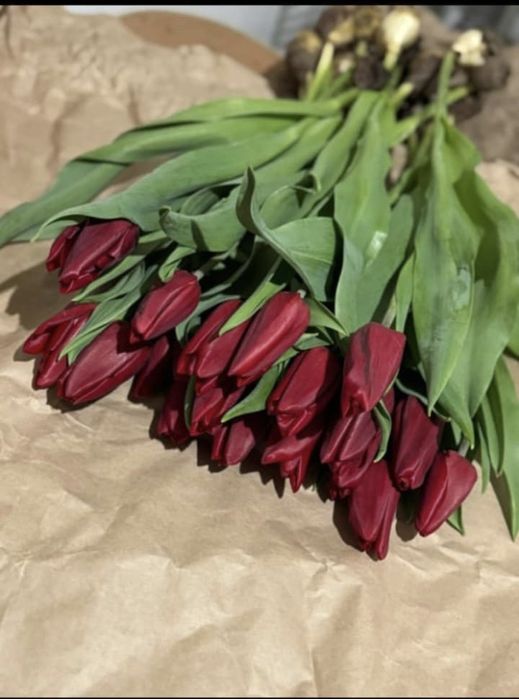 Тюльпаны в розницу