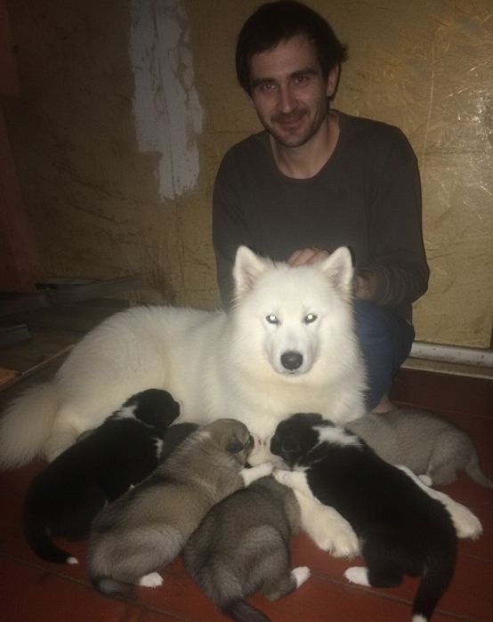 Чернушка ищет свой дом