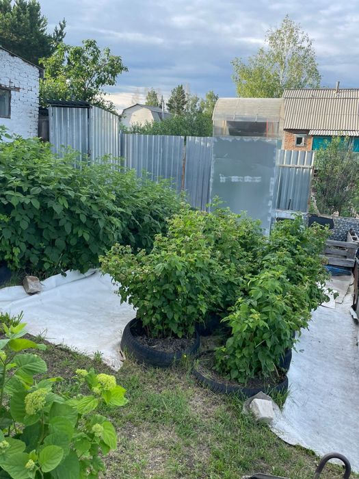 Дача. Летний дом