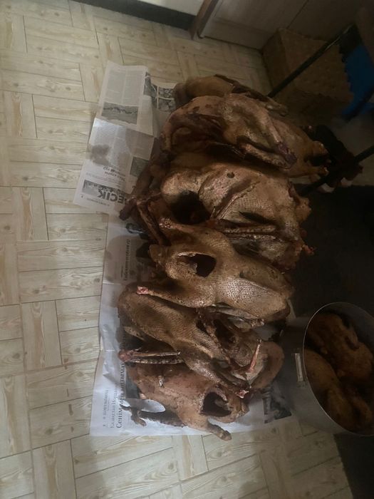 Сойылған қаз еті бар