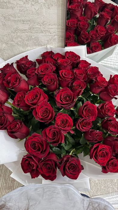 Цветы, красные розы, свежие