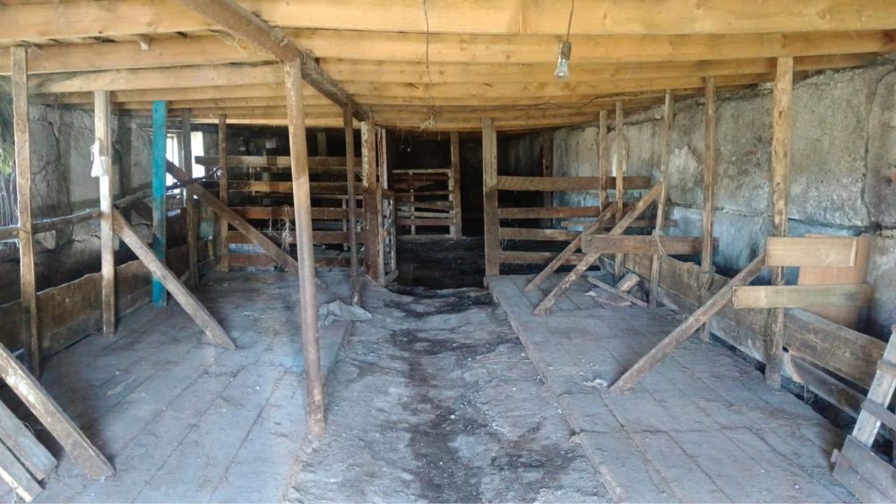 Продается дом вместе с сараем и землей