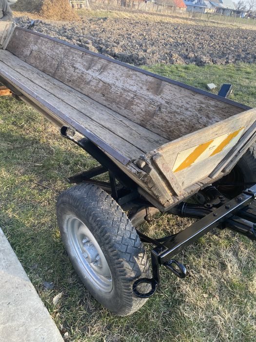 Faiton și ham de piele