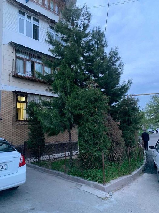 Продаётся Гулобод 32-26