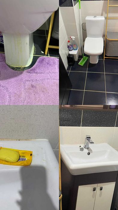 Servicii Curatare Canapea Saltea Auto Curatenie Generala Constructor