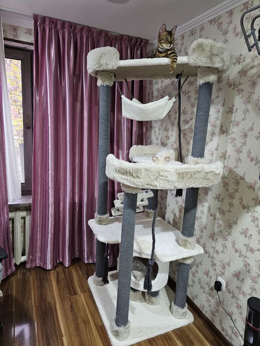 Дома-когтеточки. Высота домика 2.0метра