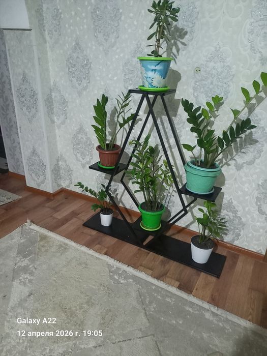 Полка для цветов