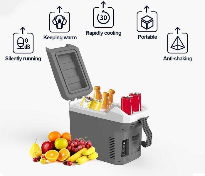 Хладилна кутия чанта/кутия за автомобил каравана кемпер 8л 12V 220V
