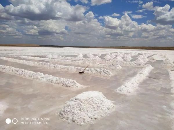 Техник туз сотилади исталган худудга етказиб бериш хизмати хам мавжуд