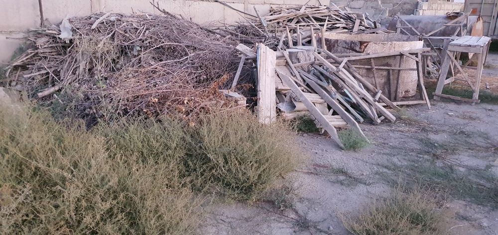 O'tinlik va chorni patalok uchun