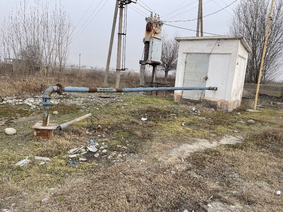 50 sotixli olma bogʻ