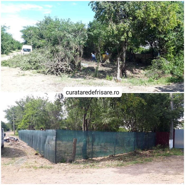 Curatare teren Vegetatie-Ambrozie / Tocare crengi Arbori Arbusti