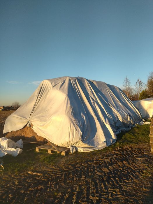 Бали ечемична ,житна слама и царевичак