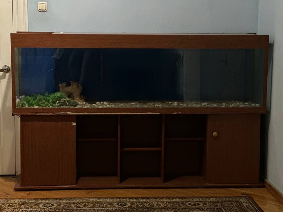 Аквариум, в хорошем состаянии