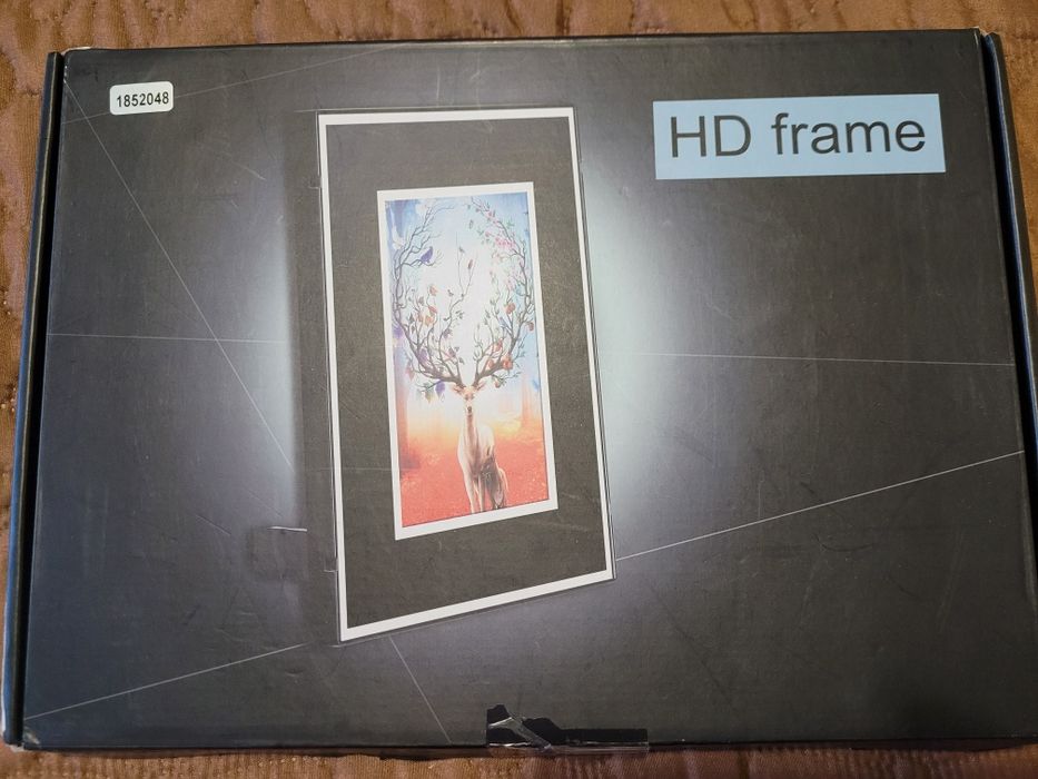 Картина с камера