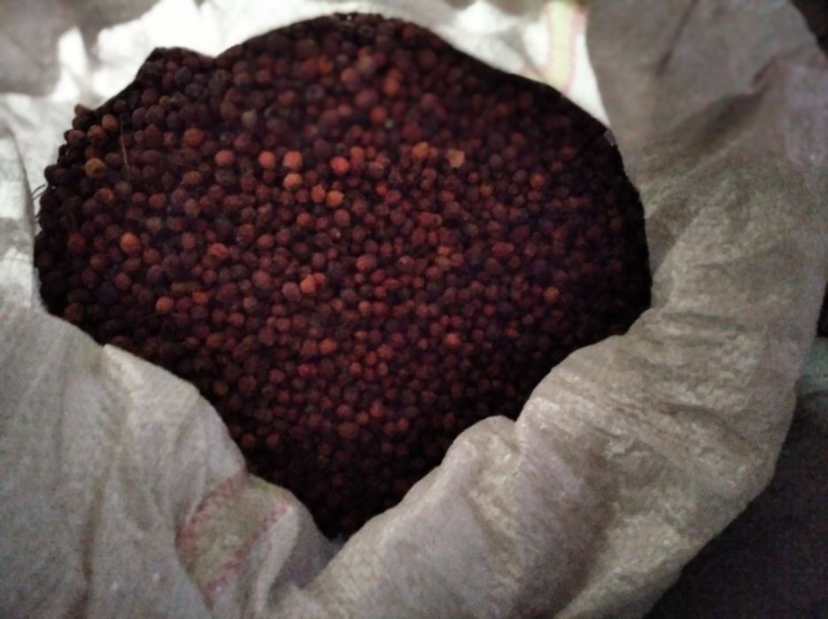 Vand paducel uscat si macesel